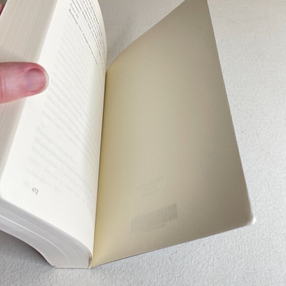 System Finale Book 12 by Tao Wong - Picture 11 of 11